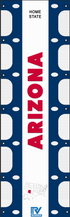Arizona RV Ladder Banner